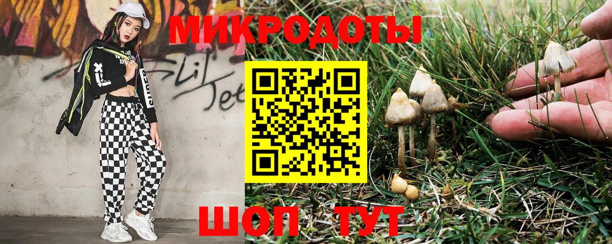 Зеленодольск  Галлюциногенные грибы Psilocybine cubensis  Вход с VPN  Псилоцибиновые грибы Magic Shrooms 